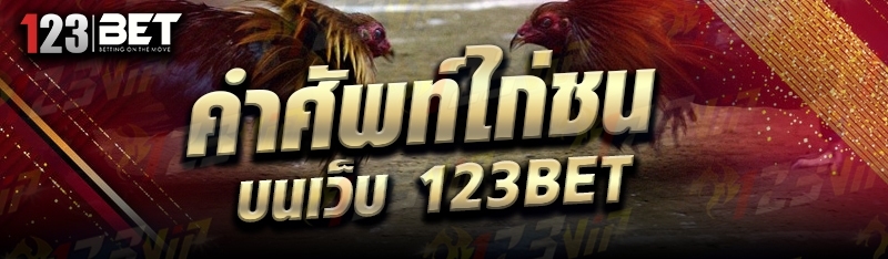 คำศัพท์ไก่ชน บนเว็บ 123bet