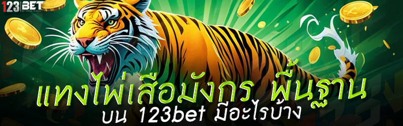 แทงไพ่เสือมังกร พื้นฐาน บน 123bet มีอะไรบ้าง