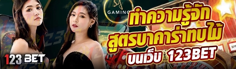 ทำความรู้จัก สูตรบาคาร่าทบไม้ บนเว็บ 123bet